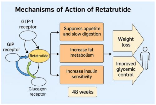 how does retatrutide work the easy way